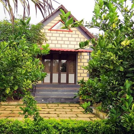 Wild Wadi Cottages Malanka Bagian luar foto